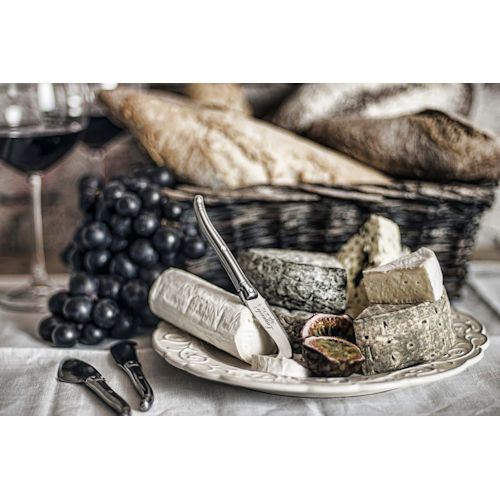 Laguiole kaasmessen set RVS