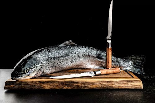 Visfileermes Forged Olive